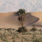 Les meilleures destinations de voyage au Moyen-Orient