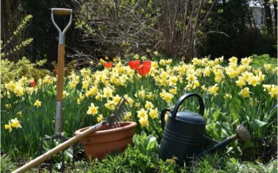 outils de jardinage